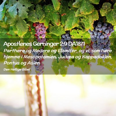 Picture 02 - Apostlenes Gerninger 2:9 DA1871 - Parthere og Medere og Elamiter, og vi, som høre - Bible Verse Picture