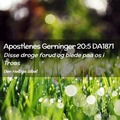 Picture 02 - Apostlenes Gerninger 20:5 DA1871 - Disse droge forud og biede paa os i - Bible Verse Picture