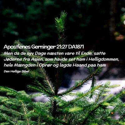Picture 02 - Apostlenes Gerninger 21:27 DA1871 - Men da de syv Dage næsten vare til Ende, satte - Bible Verse Picture
