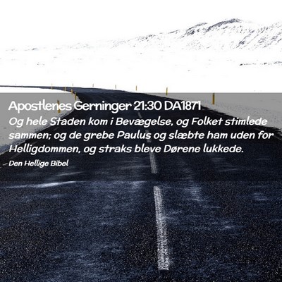 Picture 02 - Apostlenes Gerninger 21:30 DA1871 - Og hele Staden kom i Bevægelse, og Folket - Bible Verse Picture