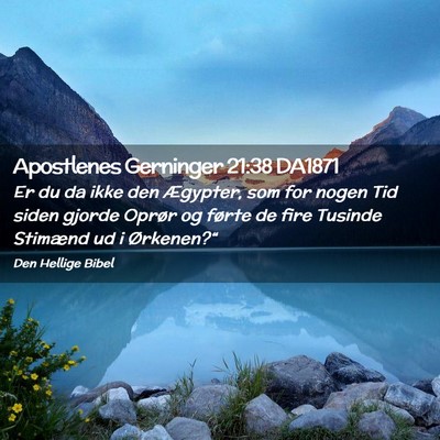 Picture 02 - Apostlenes Gerninger 21:38 DA1871 - Er du da ikke den Ægypter, som for nogen Tid - Bible Verse Picture