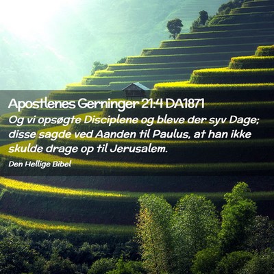 Picture 02 - Apostlenes Gerninger 21:4 DA1871 - Og vi opsøgte Disciplene og bleve der syv Dage; - Bible Verse Picture