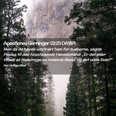 Picture 02 - Apostlenes Gerninger 22:25 DA1871 - Men da de havde udstrakt ham for Svøberne, sagde - Bible Verse Picture