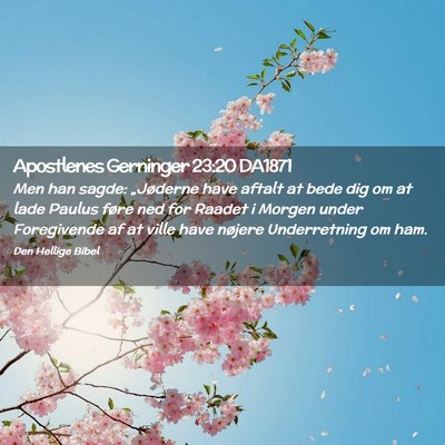 Picture 02 - Apostlenes Gerninger 23:20 DA1871 - Men han sagde: „Jøderne have aftalt at bede - Bible Verse Picture