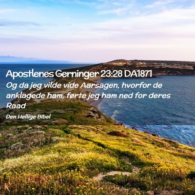 Picture 02 - Apostlenes Gerninger 23:28 DA1871 - Og da jeg vilde vide Aarsagen, hvorfor de - Bible Verse Picture