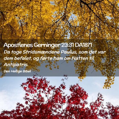 Picture 02 - Apostlenes Gerninger 23:31 DA1871 - Da toge Stridsmændene Paulus, som det var dem - Bible Verse Picture