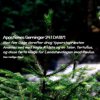 Picture 02 - Apostlenes Gerninger 24:1 DA1871 - Men fem Dage derefter drog Ypperstepræsten - Bible Verse Picture
