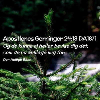 Picture 02 - Apostlenes Gerninger 24:13 DA1871 - Og de kunne ej heller bevise dig det, som de nu - Bible Verse Picture