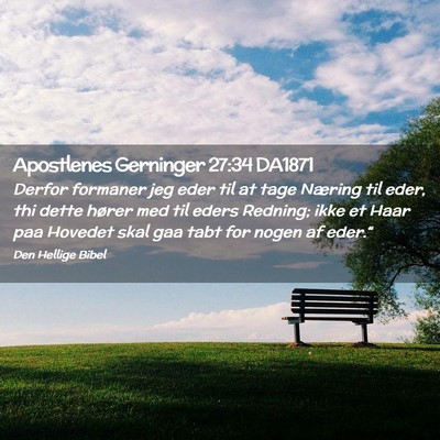 Picture 02 - Apostlenes Gerninger 27:34 DA1871 - Derfor formaner jeg eder til at tage Næring til - Bible Verse Picture