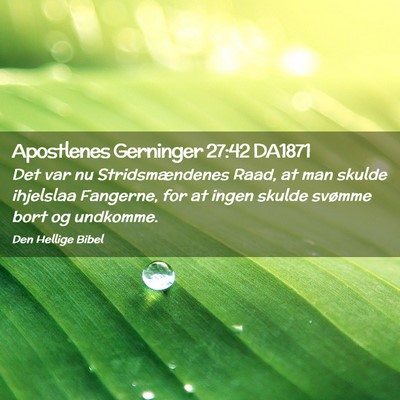 Picture 02 - Apostlenes Gerninger 27:42 DA1871 - Det var nu Stridsmændenes Raad, at man skulde - Bible Verse Picture