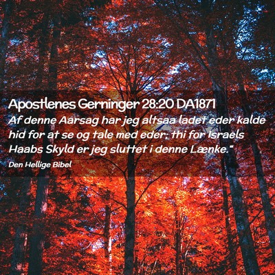Picture 02 - Apostlenes Gerninger 28:20 DA1871 - Af denne Aarsag har jeg altsaa ladet eder kalde - Bible Verse Picture