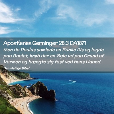Picture 02 - Apostlenes Gerninger 28:3 DA1871 - Men da Paulus samlede en Bunke Ris og lagde paa - Bible Verse Picture