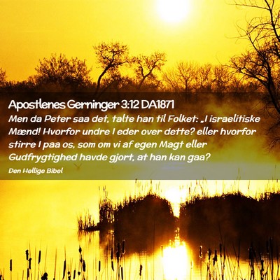 Picture 02 - Apostlenes Gerninger 3:12 DA1871 - Men da Peter saa det, talte han til Folket: „I - Bible Verse Picture