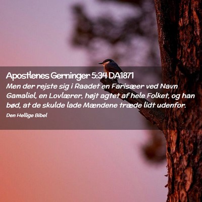 Picture 02 - Apostlenes Gerninger 5:34 DA1871 - Men der rejste sig i Raadet en Farisæer ved Navn - Bible Verse Picture