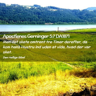 Picture 02 - Apostlenes Gerninger 5:7 DA1871 - Men det skete omtrent tre Timer derefter, da kom - Bible Verse Picture