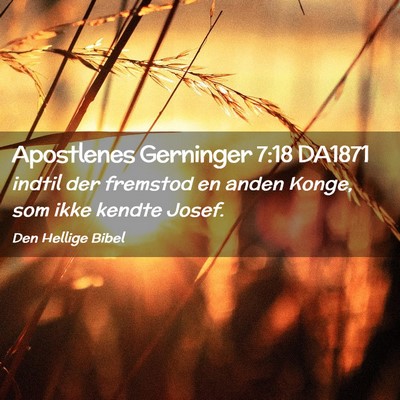 Picture 02 - Apostlenes Gerninger 7:18 DA1871 - indtil der fremstod en anden Konge, som ikke - Bible Verse Picture