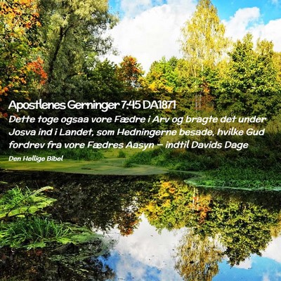 Picture 02 - Apostlenes Gerninger 7:45 DA1871 - Dette toge ogsaa vore Fædre i Arv og bragte det - Bible Verse Picture