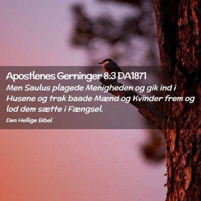 Picture 02 - Apostlenes Gerninger 8:3 DA1871 - Men Saulus plagede Menigheden og gik ind i Husene - Bible Verse Picture