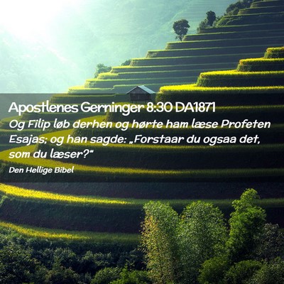 Picture 02 - Apostlenes Gerninger 8:30 DA1871 - Og Filip løb derhen og hørte ham læse Profeten - Bible Verse Picture