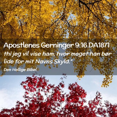 Picture 02 - Apostlenes Gerninger 9:16 DA1871 - thi jeg vil vise ham, hvor meget han bør lide - Bible Verse Picture