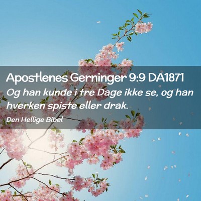 Picture 02 - Apostlenes Gerninger 9:9 DA1871 - Og han kunde i tre Dage ikke se, og han hverken - Bible Verse Picture