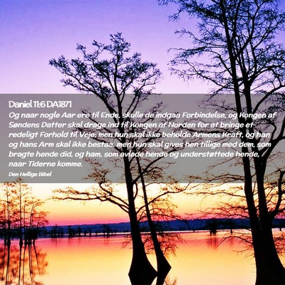 Picture 02 - Daniel 11:6 DA1871 - Og naar nogle Aar ere til Ende, skulle de indgaa - Bible Verse Picture