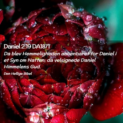 Picture 02 - Daniel 2:19 DA1871 - Da blev Hemmeligheden aabenbaret for Daniel i et - Bible Verse Picture