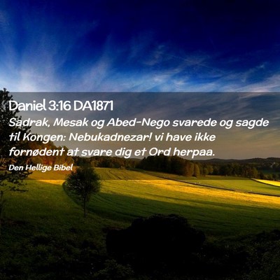 Picture 02 - Daniel 3:16 DA1871 - Sadrak, Mesak og Abed-Nego svarede og sagde til - Bible Verse Picture