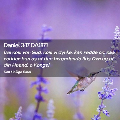 Picture 02 - Daniel 3:17 DA1871 - Dersom vor Gud, som vi dyrke, kan redde os, saa - Bible Verse Picture