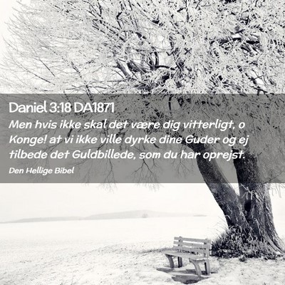 Picture 02 - Daniel 3:18 DA1871 - Men hvis ikke skal det være dig vitterligt, o - Bible Verse Picture