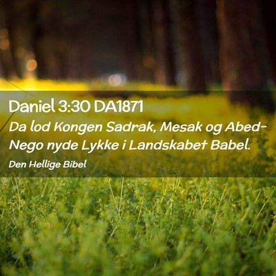 Picture 02 - Daniel 3:30 DA1871 - Da lod Kongen Sadrak, Mesak og Abed-Nego nyde - Bible Verse Picture