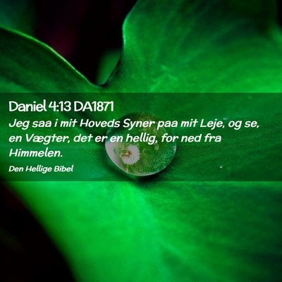 Picture 02 - Daniel 4:13 DA1871 - Jeg saa i mit Hoveds Syner paa mit Leje, og se, - Bible Verse Picture