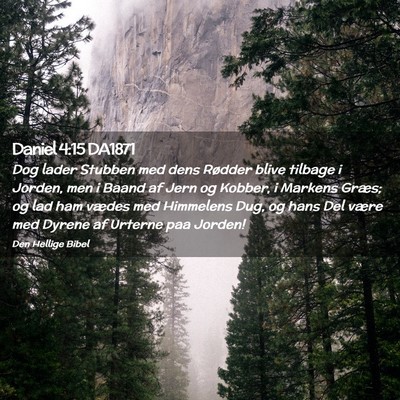 Picture 02 - Daniel 4:15 DA1871 - Dog lader Stubben med dens Rødder blive tilbage - Bible Verse Picture