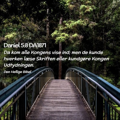 Picture 02 - Daniel 5:8 DA1871 - Da kom alle Kongens vise ind; men de kunde - Bible Verse Picture