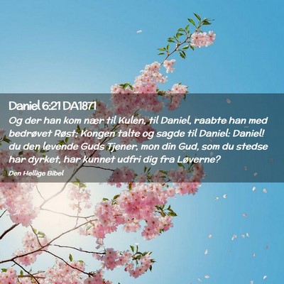 Picture 02 - Daniel 6:21 DA1871 - Og der han kom nær til Kulen, til Daniel, raabte - Bible Verse Picture