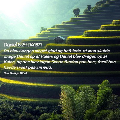 Picture 02 - Daniel 6:24 DA1871 - Da blev Kongen meget glad og befalede, at man - Bible Verse Picture