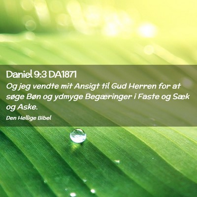 Picture 02 - Daniel 9:3 DA1871 - Og jeg vendte mit Ansigt til Gud Herren for at - Bible Verse Picture