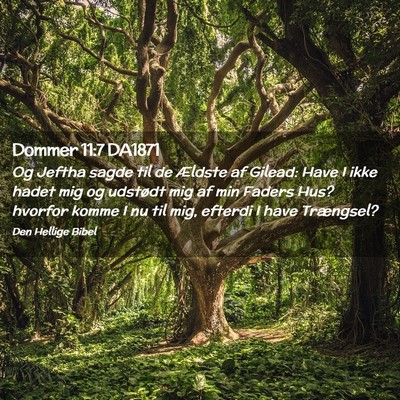 Picture 02 - Dommer 11:7 DA1871 - Og Jeftha sagde til de Ældste af Gilead: Have I - Bible Verse Picture