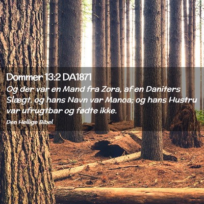 Picture 02 - Dommer 13:2 DA1871 - Og der var en Mand fra Zora, af en Daniters - Bible Verse Picture