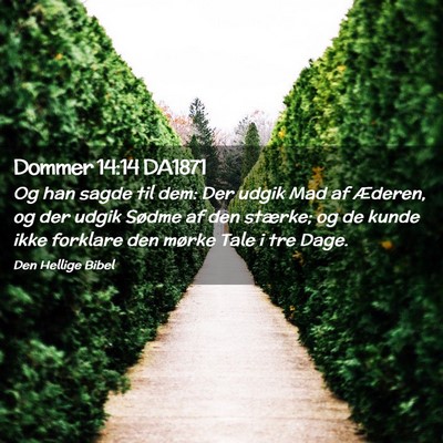 Picture 02 - Dommer 14:14 DA1871 - Og han sagde til dem: Der udgik Mad af Æderen, - Bible Verse Picture