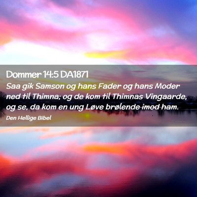 Picture 02 - Dommer 14:5 DA1871 - Saa gik Samson og hans Fader og hans Moder ned - Bible Verse Picture