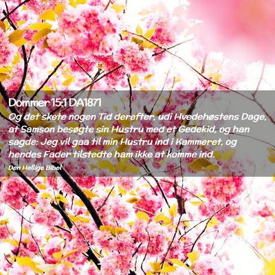 Picture 02 - Dommer 15:1 DA1871 - Og det skete nogen Tid derefter, udi - Bible Verse Picture