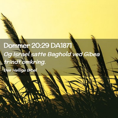 Picture 02 - Dommer 20:29 DA1871 - Og Israel satte Baghold ved Gibea trindt - Bible Verse Picture