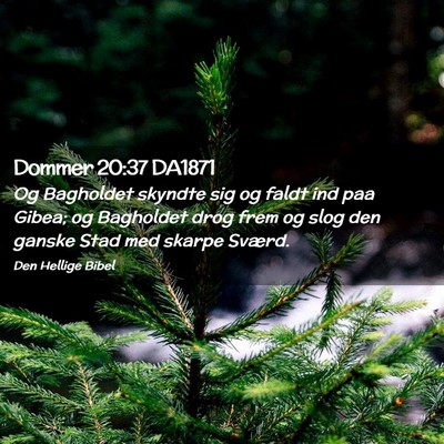 Picture 02 - Dommer 20:37 DA1871 - Og Bagholdet skyndte sig og faldt ind paa Gibea; - Bible Verse Picture