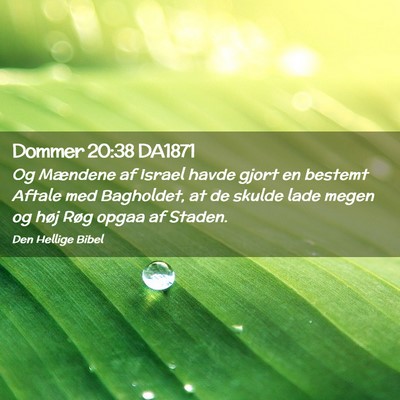 Picture 02 - Dommer 20:38 DA1871 - Og Mændene af Israel havde gjort en bestemt - Bible Verse Picture