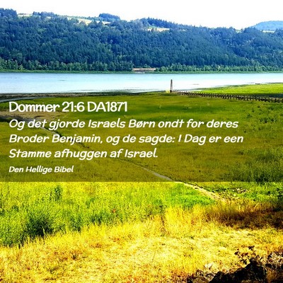 Picture 02 - Dommer 21:6 DA1871 - Og det gjorde Israels Børn ondt for deres Broder - Bible Verse Picture