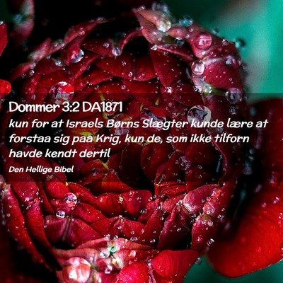 Picture 02 - Dommer 3:2 DA1871 - kun for at Israels Børns Slægter kunde lære at - Bible Verse Picture