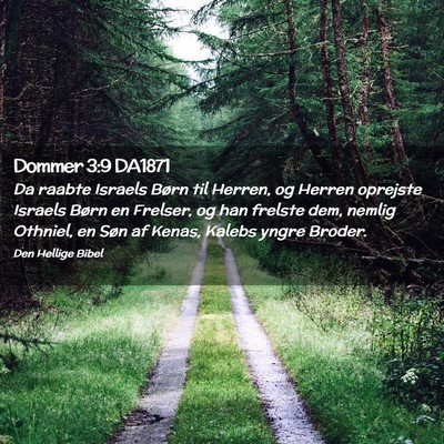 Picture 02 - Dommer 3:9 DA1871 - Da raabte Israels Børn til Herren, og Herren - Bible Verse Picture
