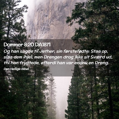 Picture 02 - Dommer 8:20 DA1871 - Og han sagde til Jether, sin førstefødte: Staa - Bible Verse Picture