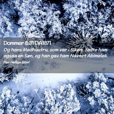 Picture 02 - Dommer 8:31 DA1871 - Og hans Medhustru, som var i Sikem, fødte ham - Bible Verse Picture